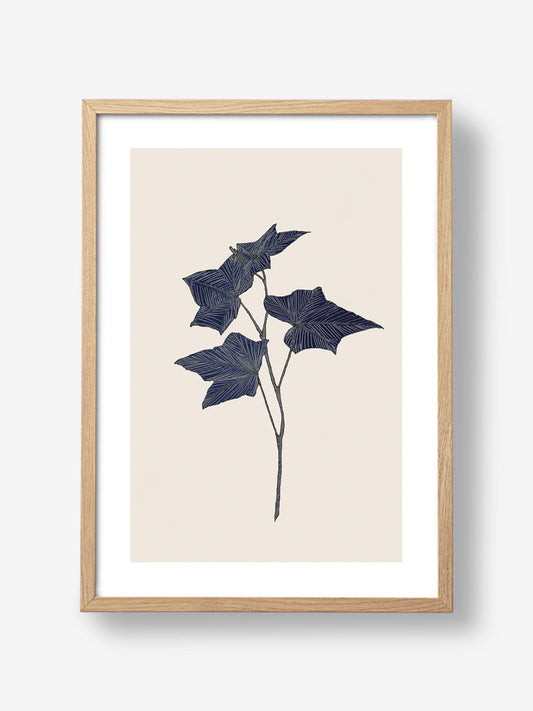 Navy Leaves Harmony