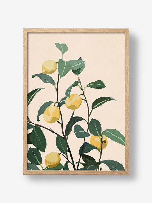 Citrus Serenity